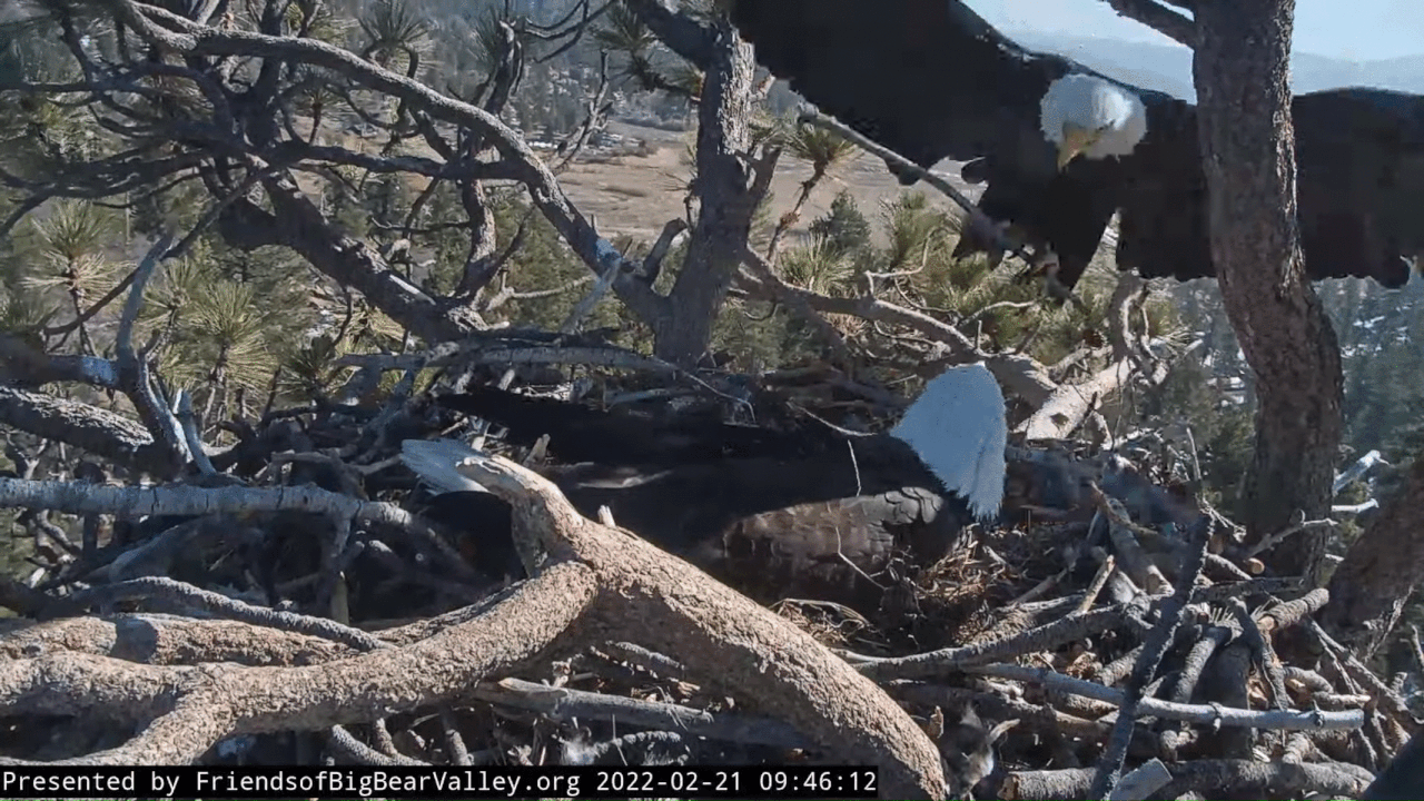 Webp.net-gifmaker (5)