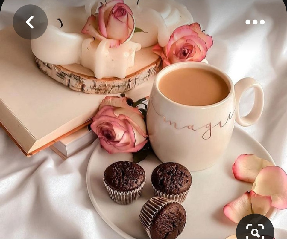 Screenshot_20230528_214505_Pinterest