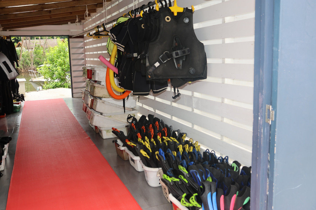 604646010-1176235701263573-4581460568746757244-n-(1)