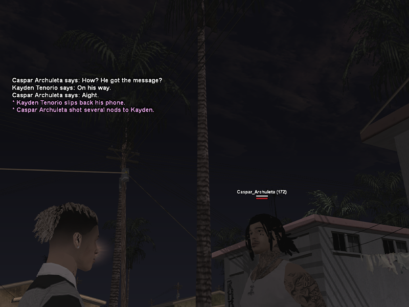 SS2.png