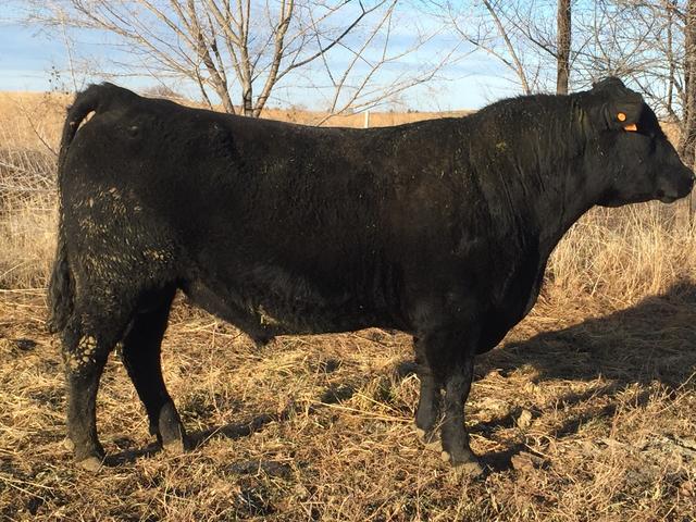 200121DC-2407-43CC-93D0-EA363E2DFB99