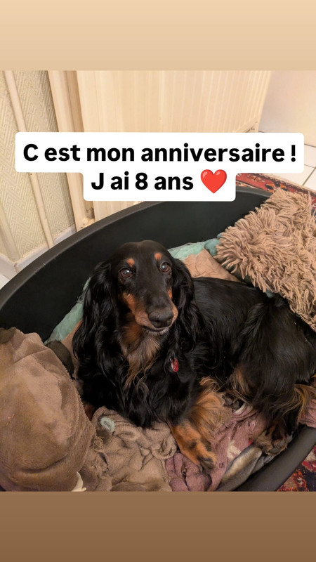 [Image: IMG-20250813-WA0000.jpg]