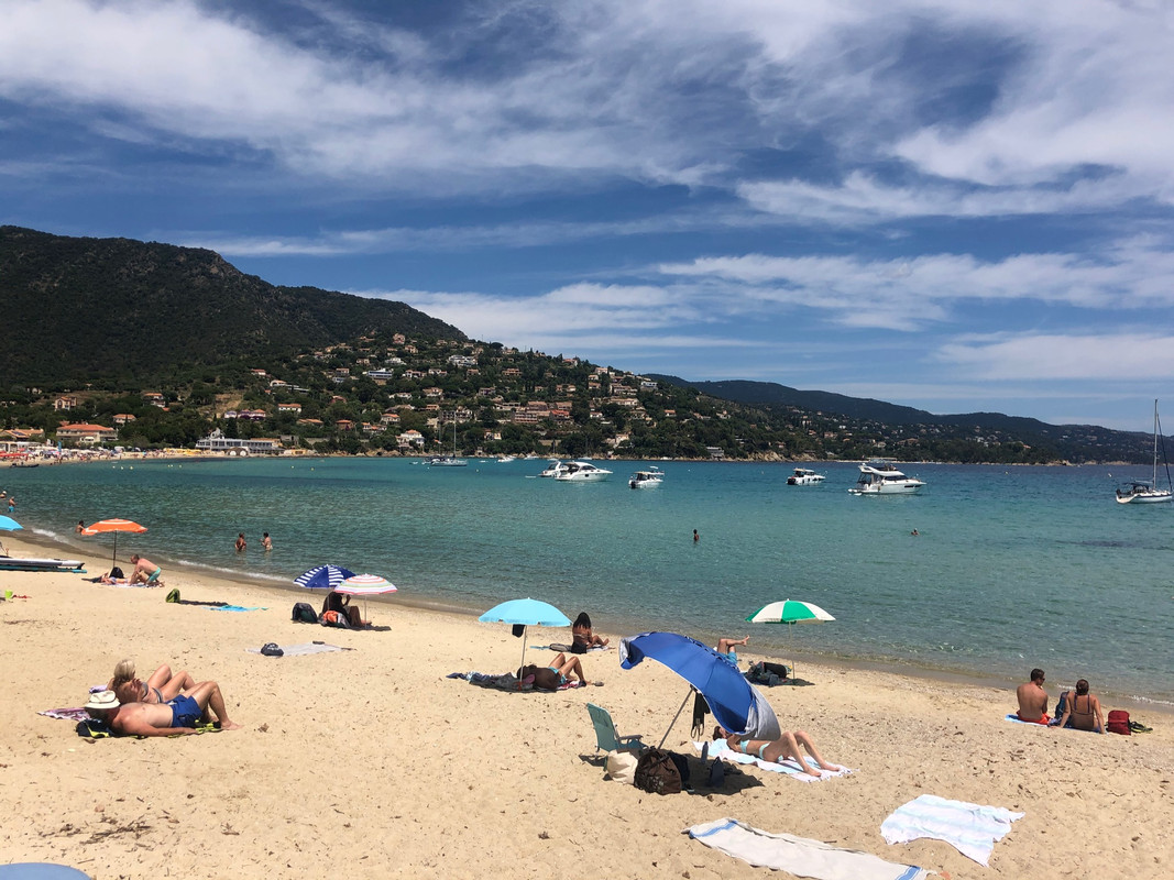 8D316CED-F952-4FDC-A4C5-32C5C9D8F271