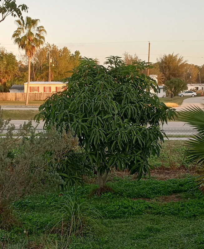 IMG_20240211_072507210_HDR~2