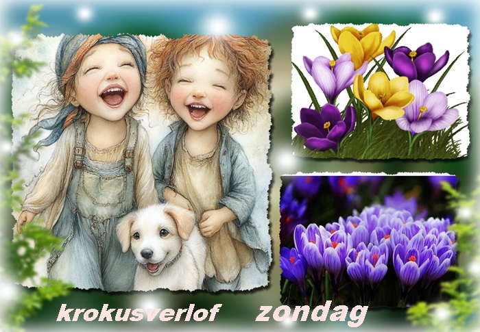 Klik op de afbeelding om de link te volgen