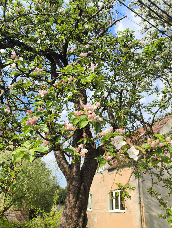 20 апреля 2025 019