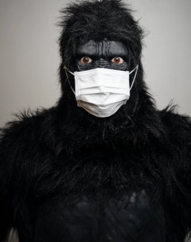 8EF54BBD-7051-4D54-9C2E-0CE34320EA01