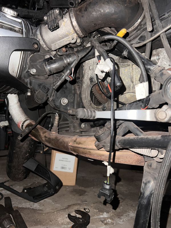 D5A630C7-1748-4374-8BC9-4E4397CA97BC