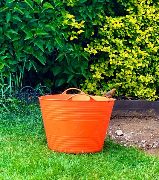 robin-bucket-trug-HD.jpg