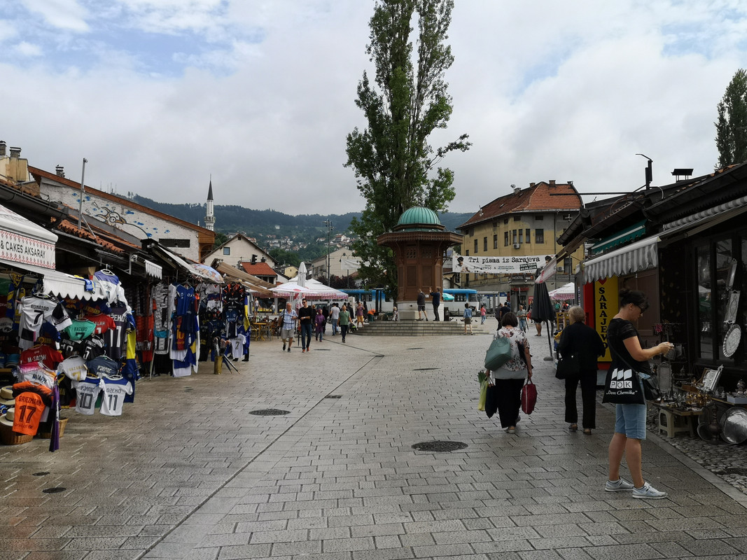 [Obrazek: IMG-20190803-092140.jpg]
