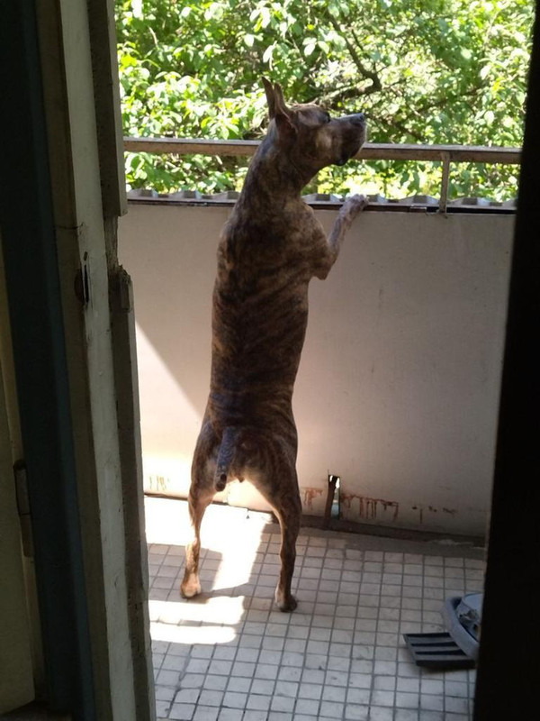 EC8B369F-DCC4-4D64-A490-BFE369DFEBC6