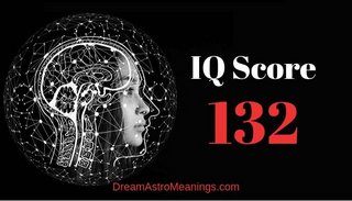 IQ-132.jpg