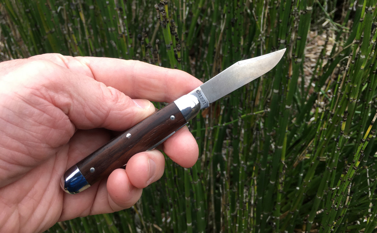 CDE34DC6-9120-400E-AAD1-600B8553213D