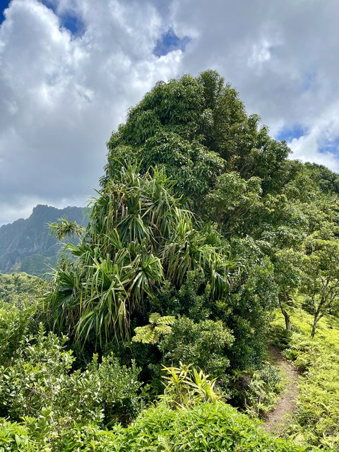 [Linked Image from i.postimg.cc]