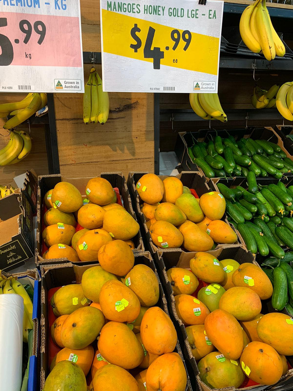 1E7E3957-2565-474B-AA04-9075FBEBD560