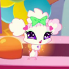 412-Pet-Icon6