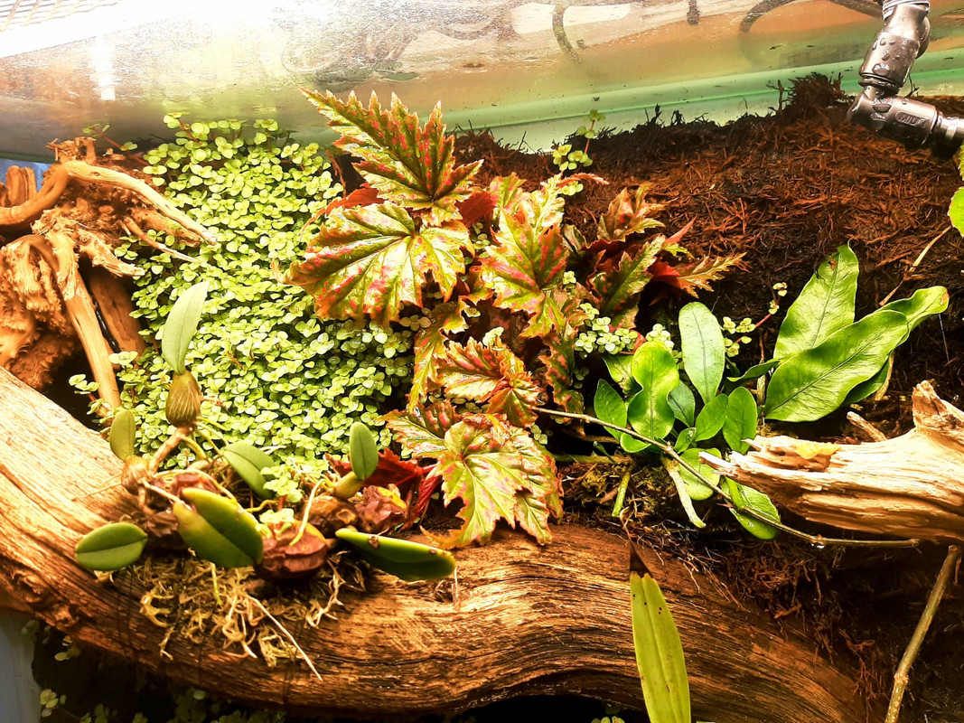 WhatsApp Image 2024-02-27 at 12.15.20 (1)