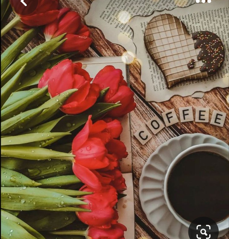 Screenshot_20230517_003717_Pinterest