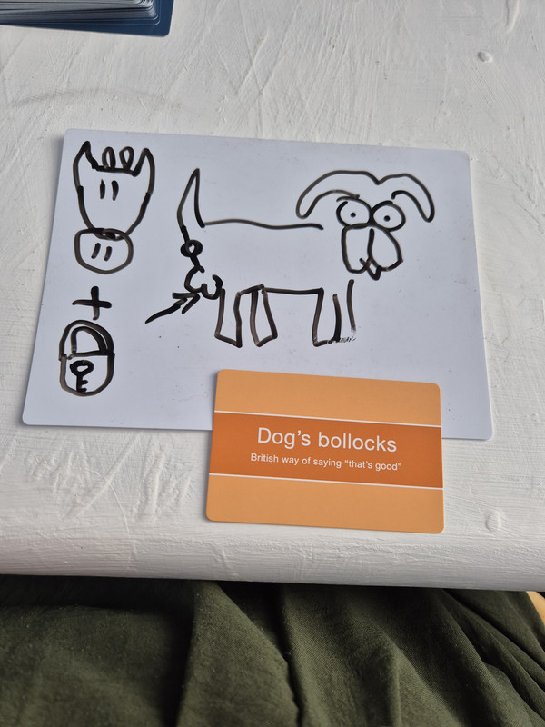 1000035723.jpg