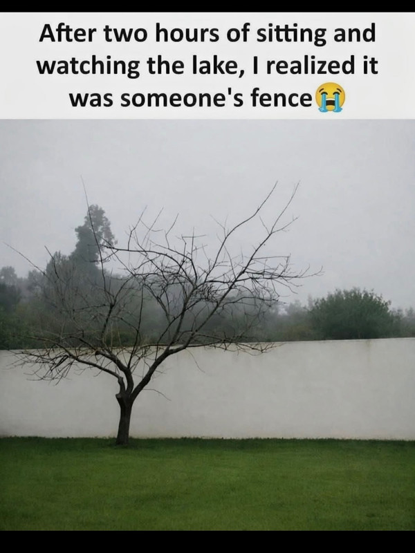 640249066 18562000993002209 2322295207636274961 n