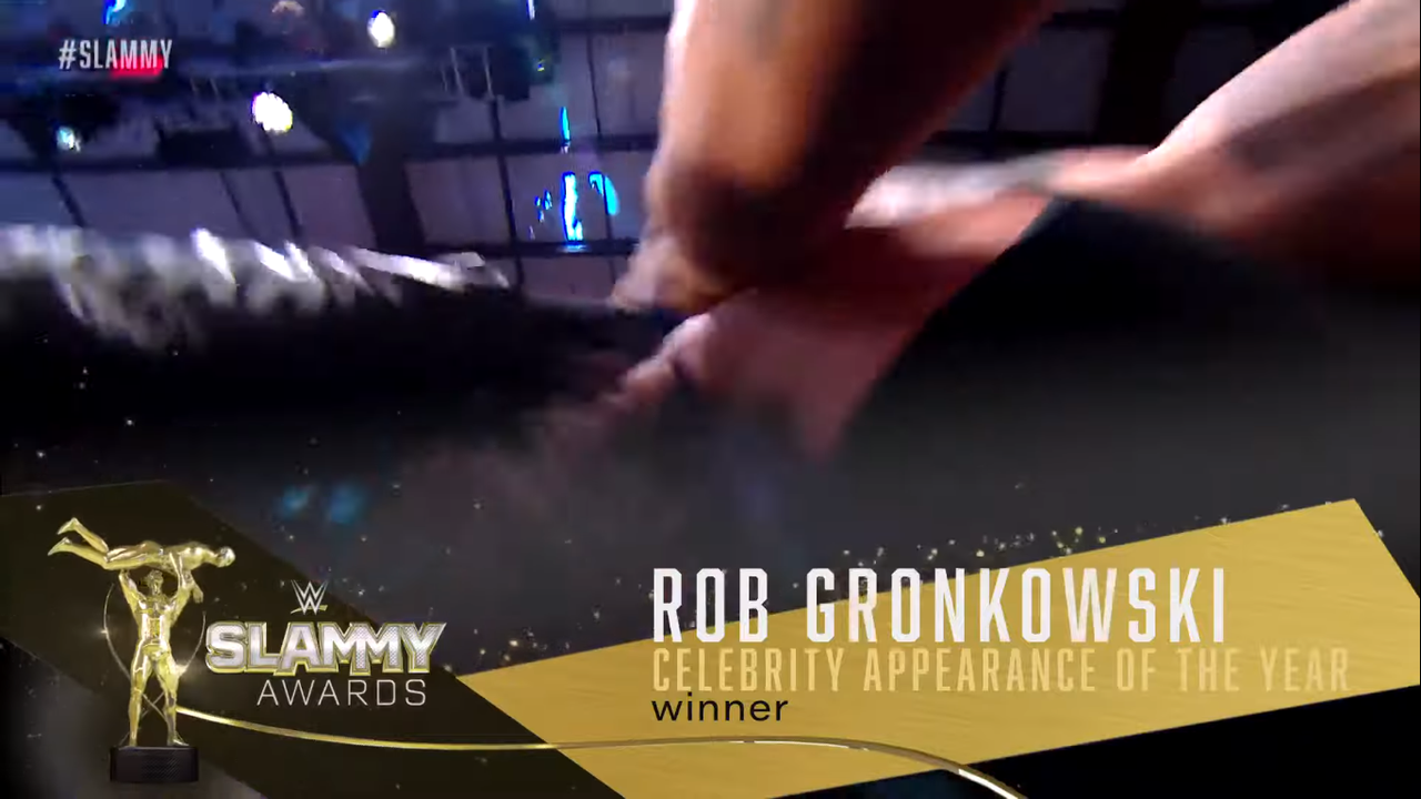 ��������� WWE Slammy Award 2020 Rob.png