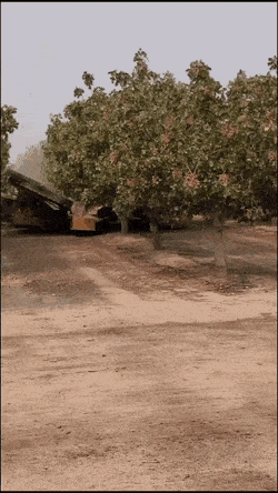 Wow-GIFs-14