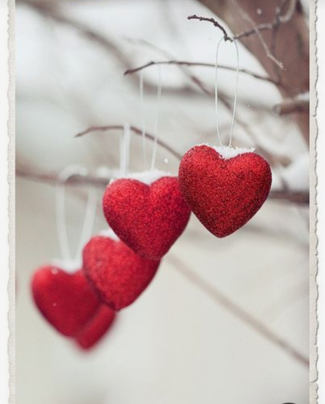 Screenshot_20240214_113421_Pinterest