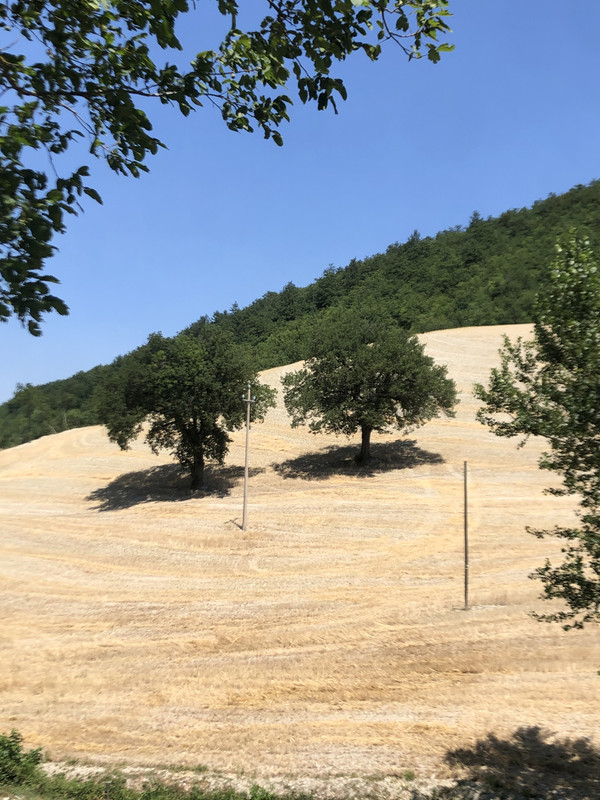 B9E3EB0F-6631-42D9-8F30-A1990F54445A