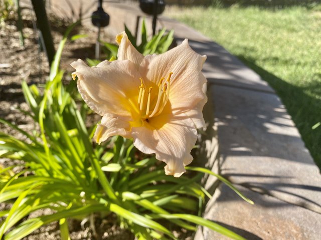 [Image: ABA1-DC67-DA31-4114-B063-EC11165-E68-EA.jpg]