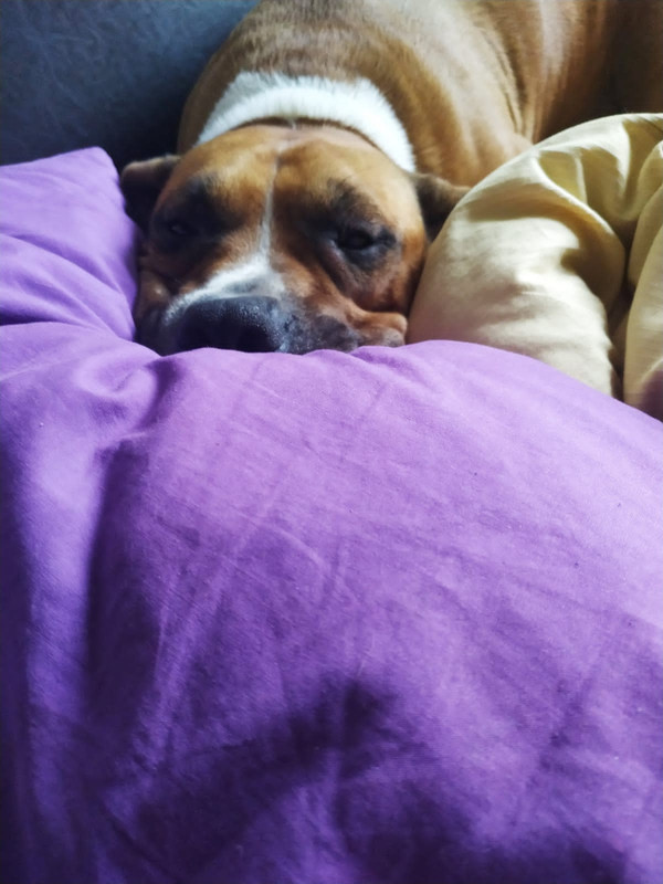 B93F9BAB-F97A-4FAA-8B54-3D8989E78D50