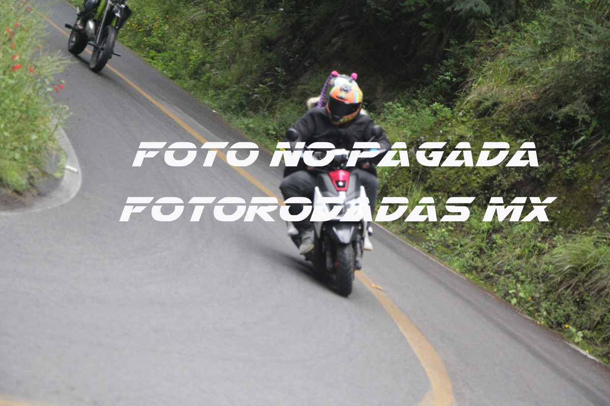 IMG 1408 — Postimages