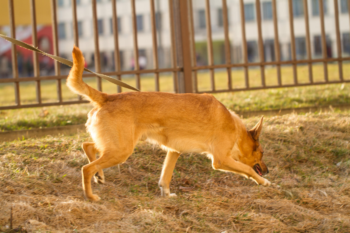 без имени-5325