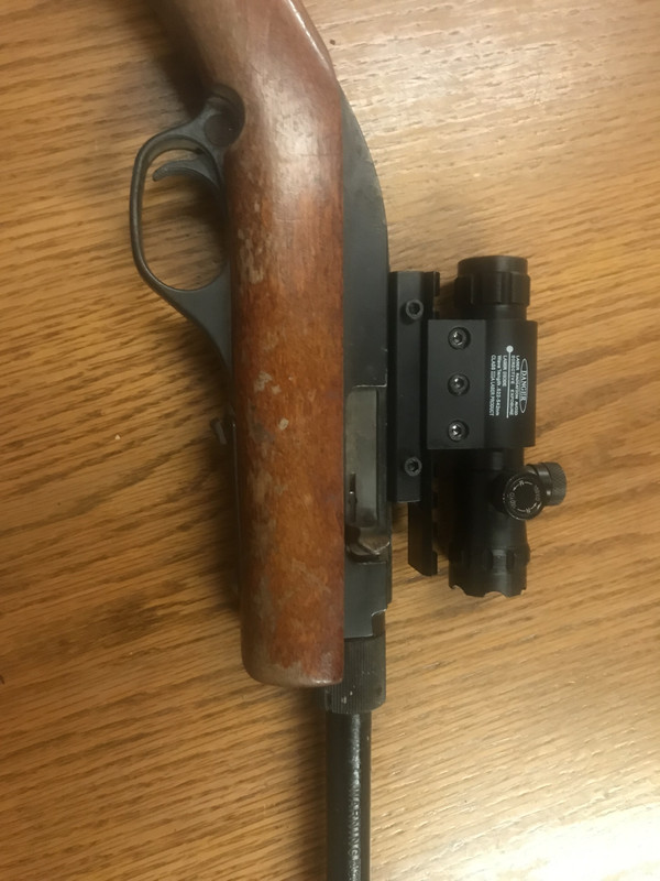 3E31C24D-2882-43C8-BF32-796409CF08A7