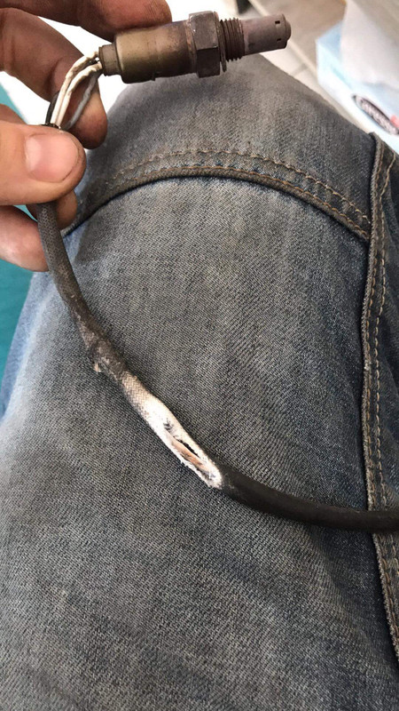 85C8E5A5-EFB2-4CE2-865D-258E58518CA8