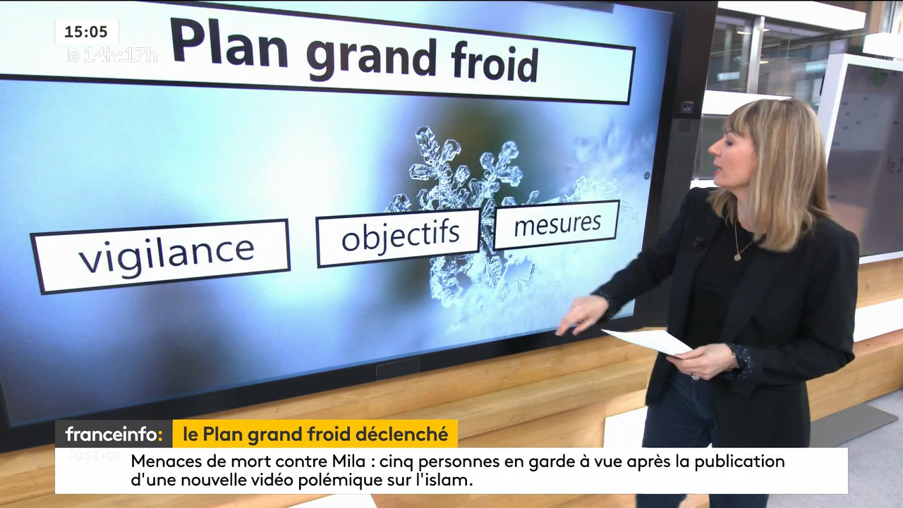 02.09 - 12.59.00 - Le 14h-17h. Au sommaire   Vrai ou fake. - francein..._001.ts_snapshot_00.37.763
