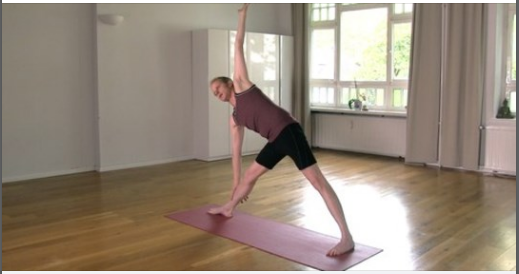 Hatha Yoga Basics für eine gesunde Haltung