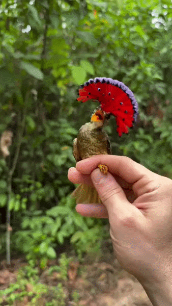 ezgif-8e7e44999a0652a2.gif