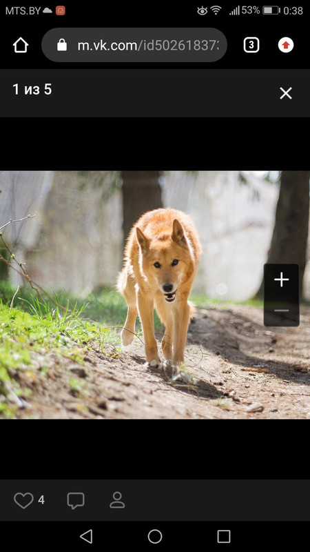 изображение_viber_2020-05-28_00-43-011