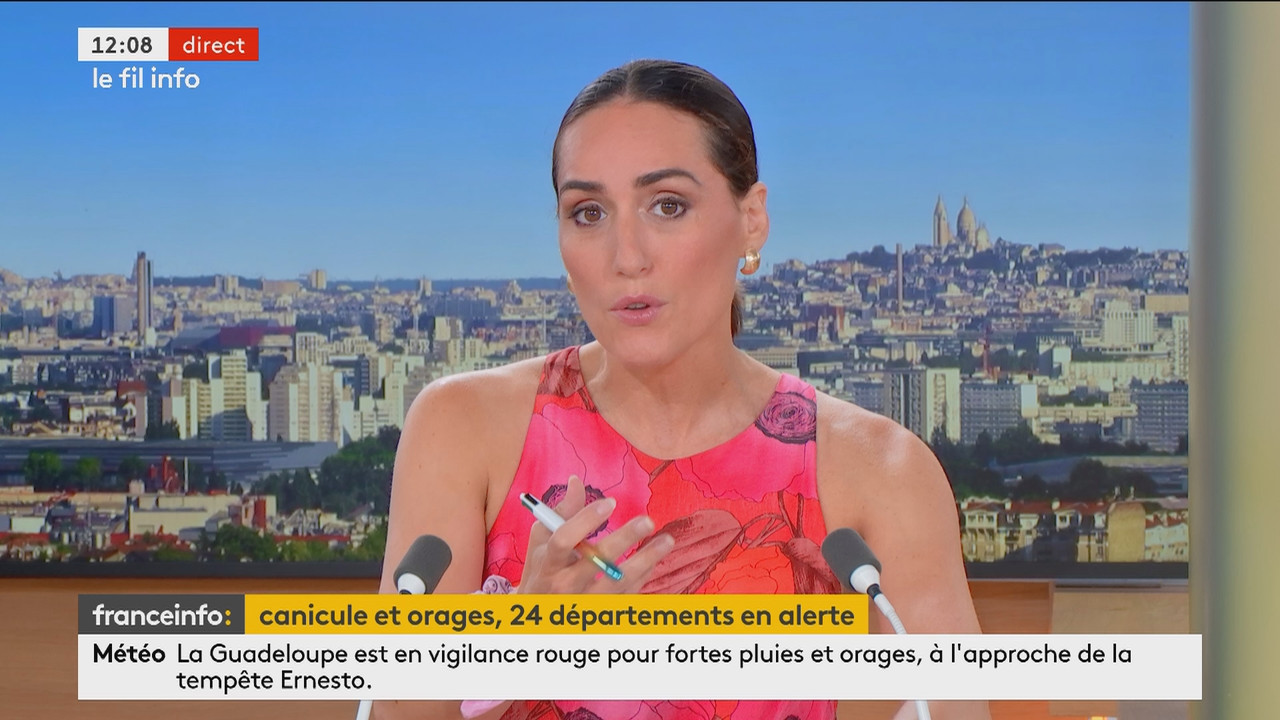 Le JT de 11h59 (Franceinfo)_2024_08_13_10_54_25.ts_snapshot_14.25.631