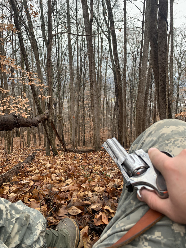 E9636A9B-EF2B-4644-8DA1-7B42842D15B1