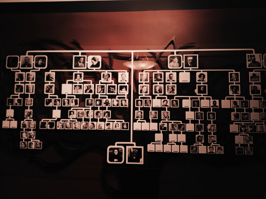 M. ir K. Petrauskų Namai