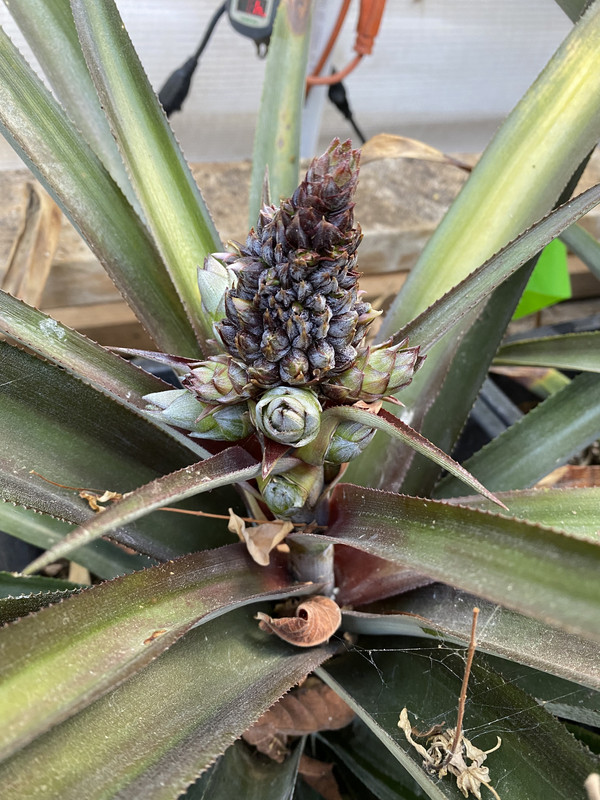 67E8CC76-AB09-4646-AAD6-A3F8FA5132E8