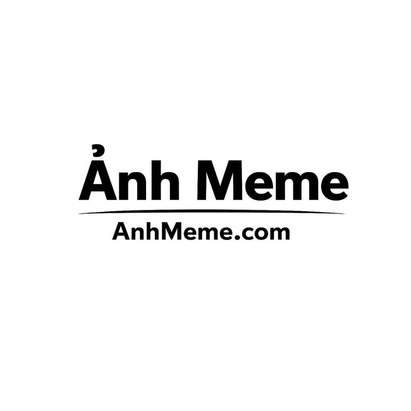 My Gallery