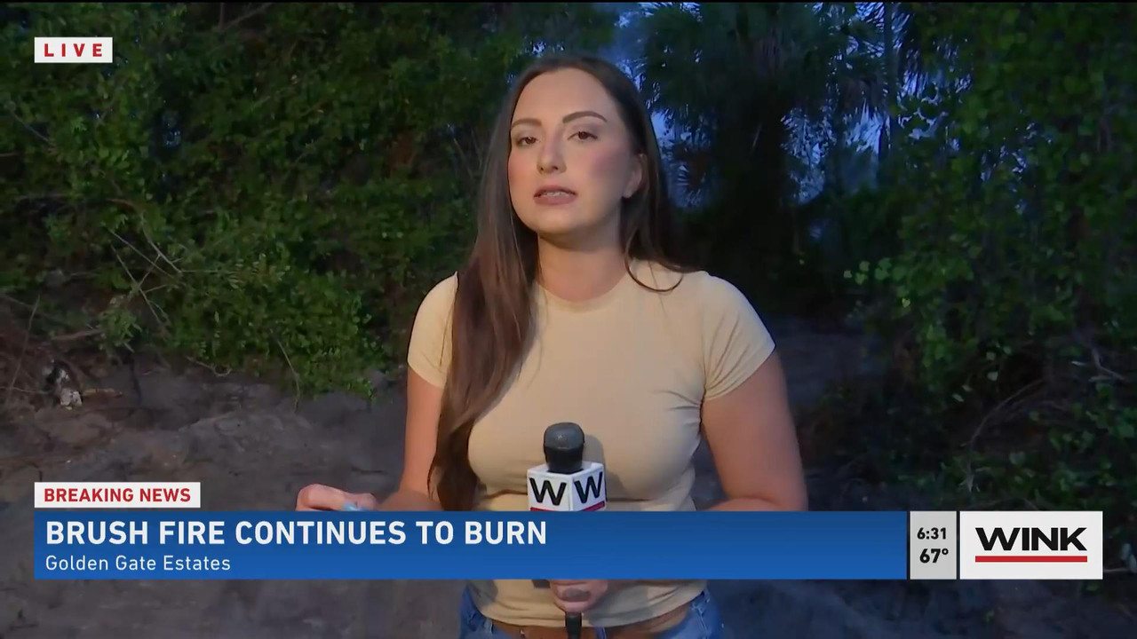 05.23 - 11.00.00 - WINK News @ 6 00AM Sunday. Local news, sports and ....ts_snapshot_31.14_[2021.05.