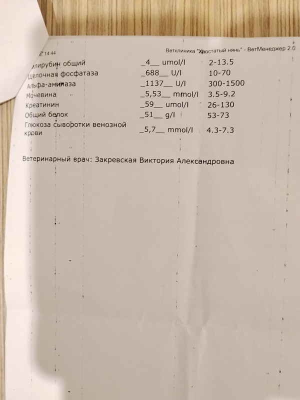 IMG 2cb93632dc516c37f9e07b73e910a98a V