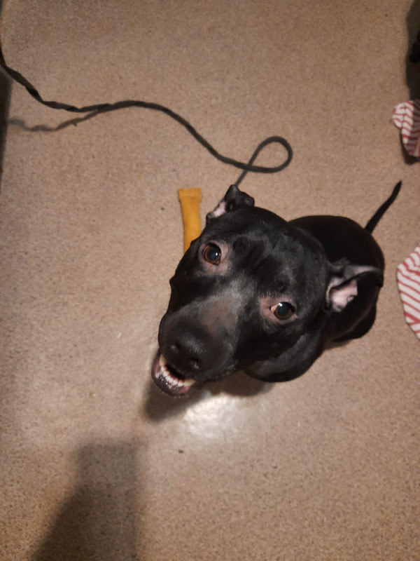 A681DE85-70B5-4B1B-A889-4D68DB9DD7A3