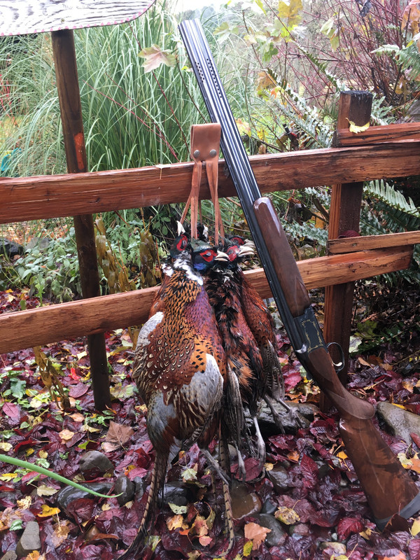 0E06DB50-4A02-42B8-8134-0FC61EF83036