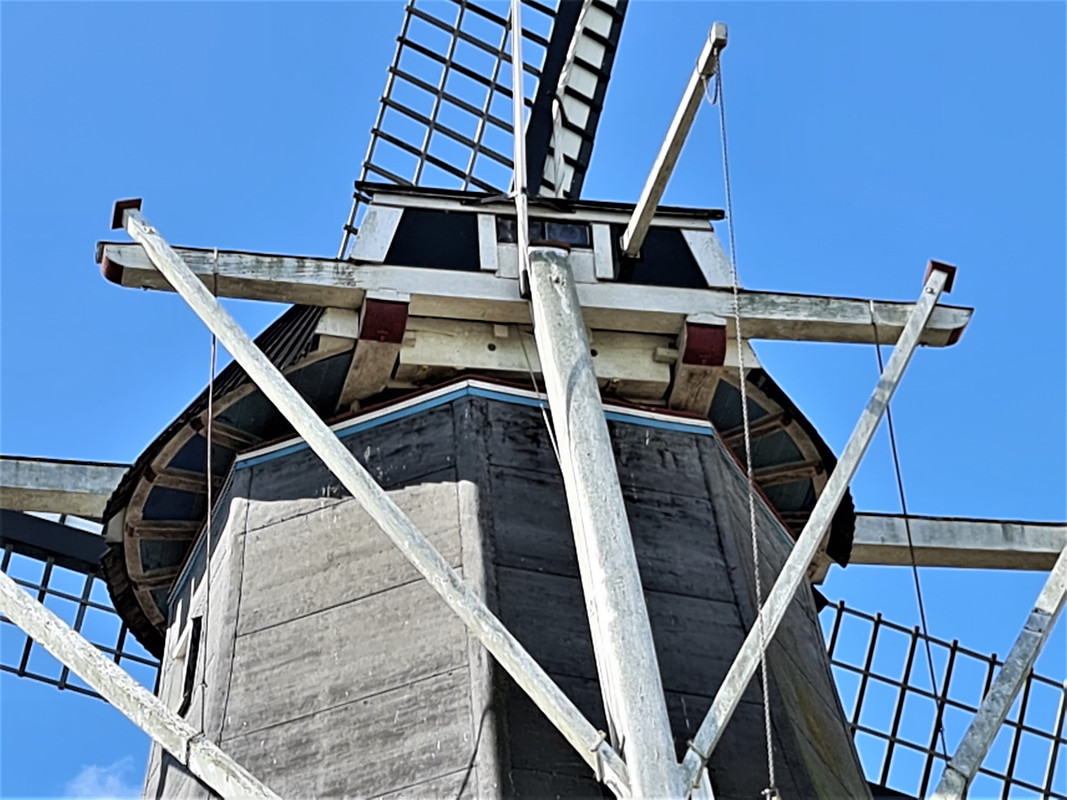 Pieter Zuijkerbuijk, De Meeuw 02 Garnwerd 31-08-2023