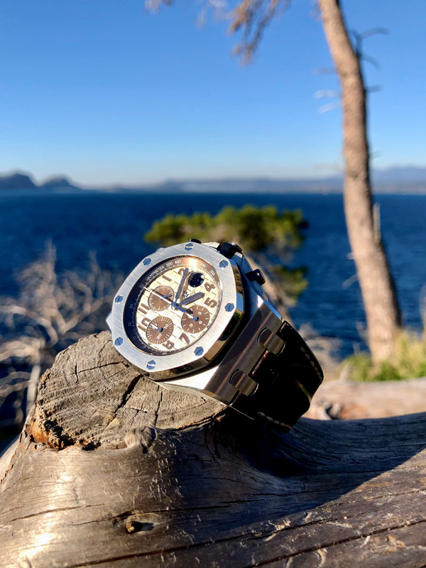 0E29E1D8-F8D9-46DC-BD82-2DFE9BB76E38