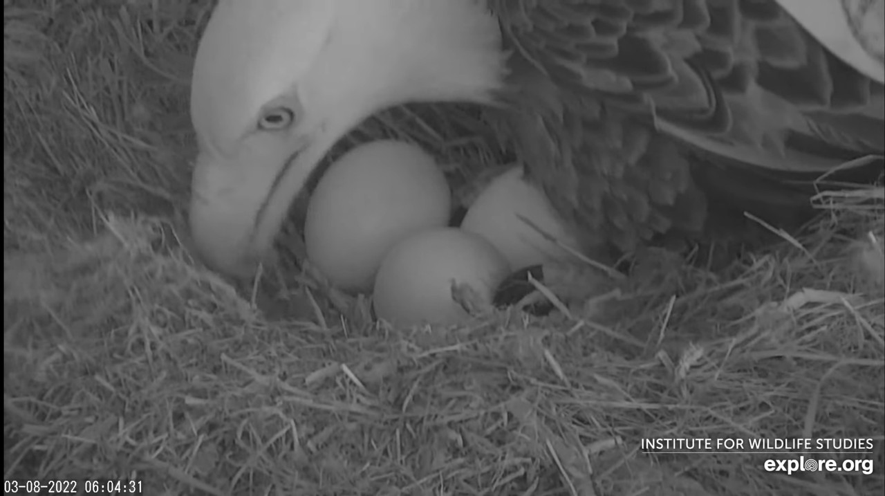 F8BB7397-783B-49E9-B652-6E180A909A1A